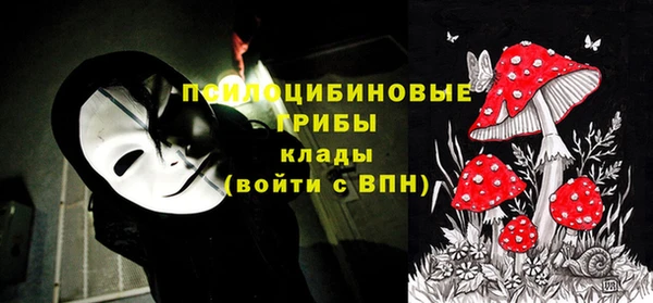 ГАЛЛЮЦИНОГЕННЫЕ ГРИБЫ Абинск